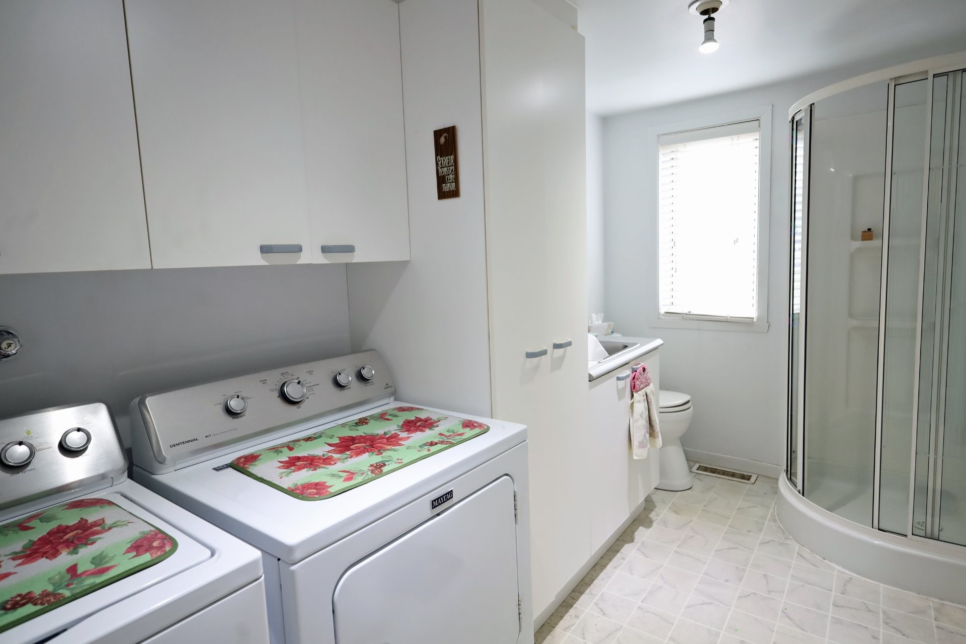 Bathroom - 267 Boul. Bégin, Saint-Pacôme, QC - Indoor Photo Showing Laundry Room