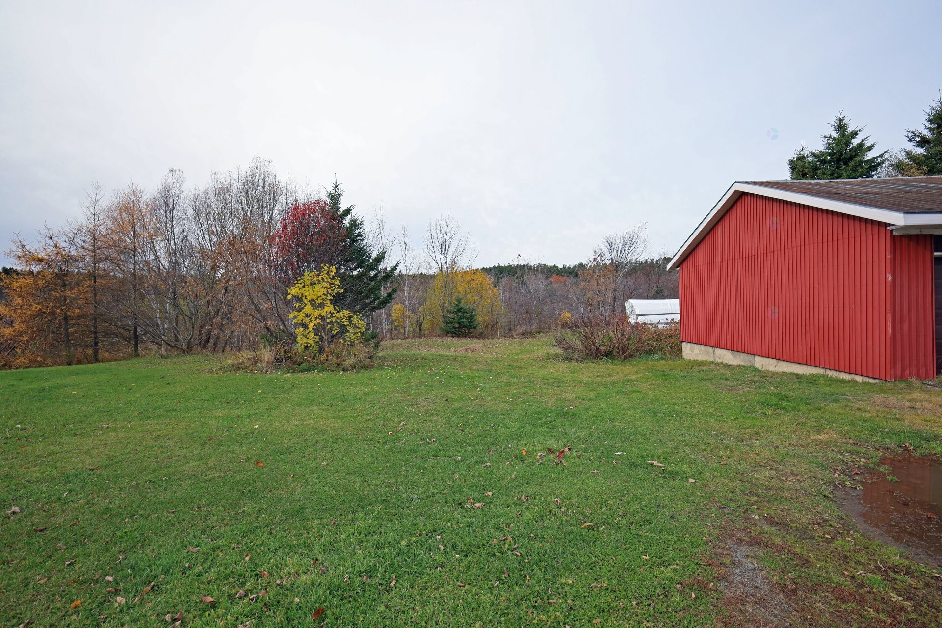 Courtyard - 267 Boul. Bégin, Saint-Pacôme, QC - Outdoor