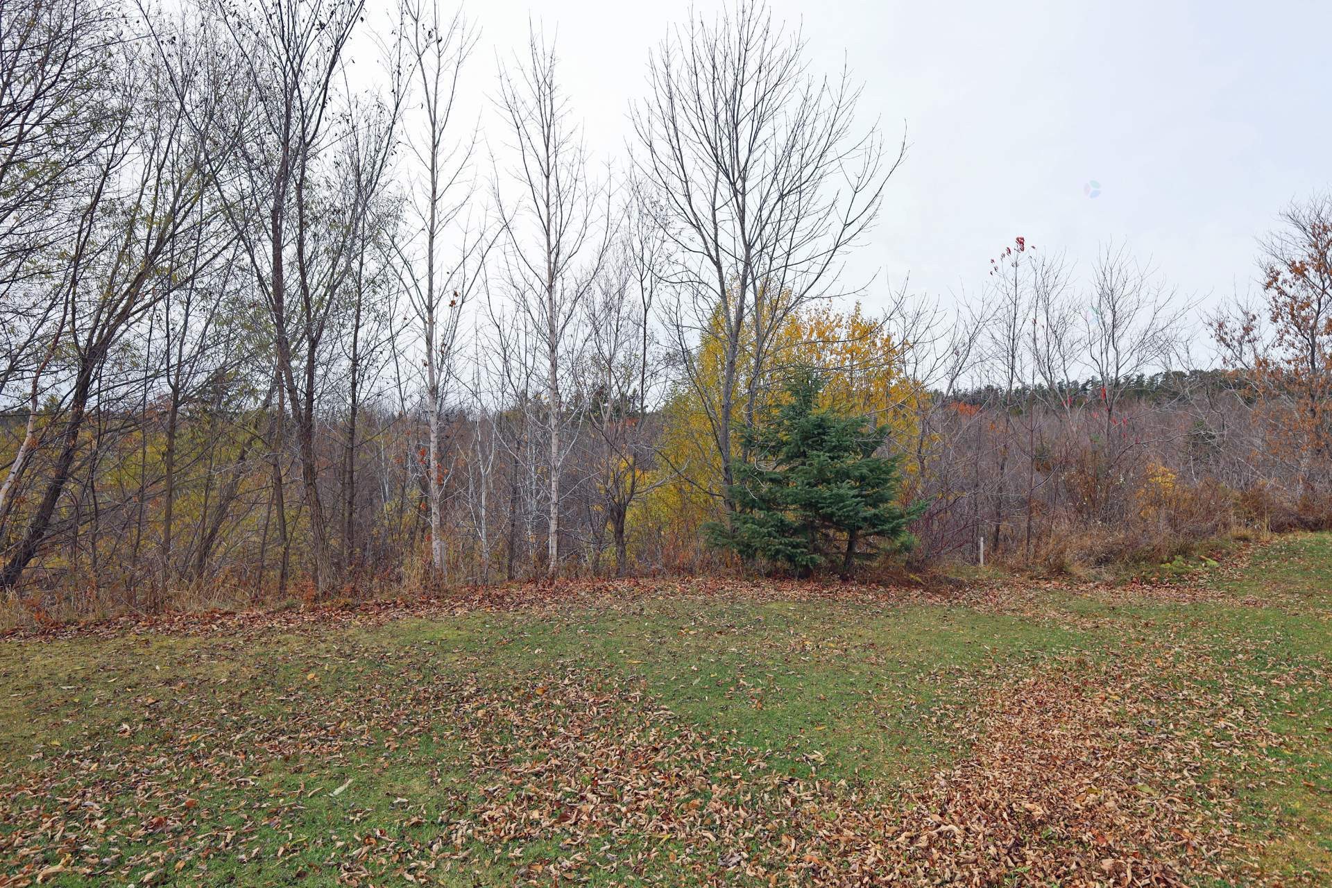 Courtyard - 267 Boul. Bégin, Saint-Pacôme, QC - Outdoor With View