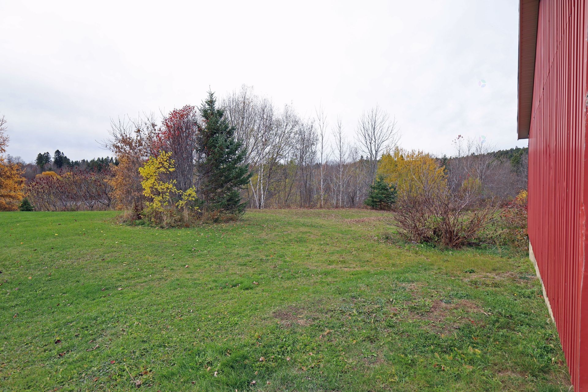 Courtyard - 267 Boul. Bégin, Saint-Pacôme, QC - Outdoor With View