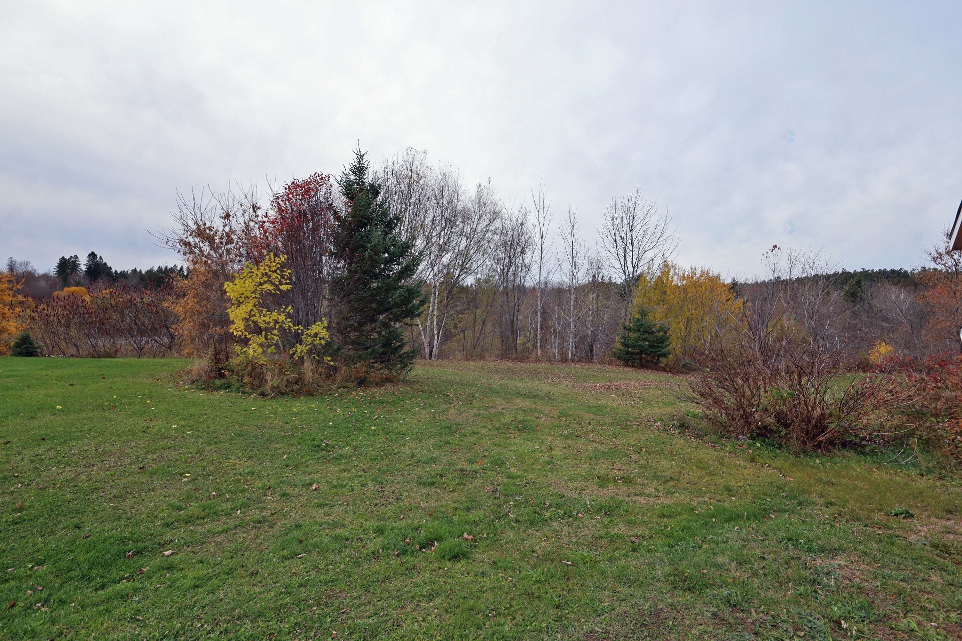 Courtyard - 267 Boul. Bégin, Saint-Pacôme, QC - Outdoor With View