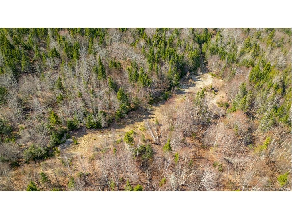 Lot 00 Frye Rd, Chamcook, NB