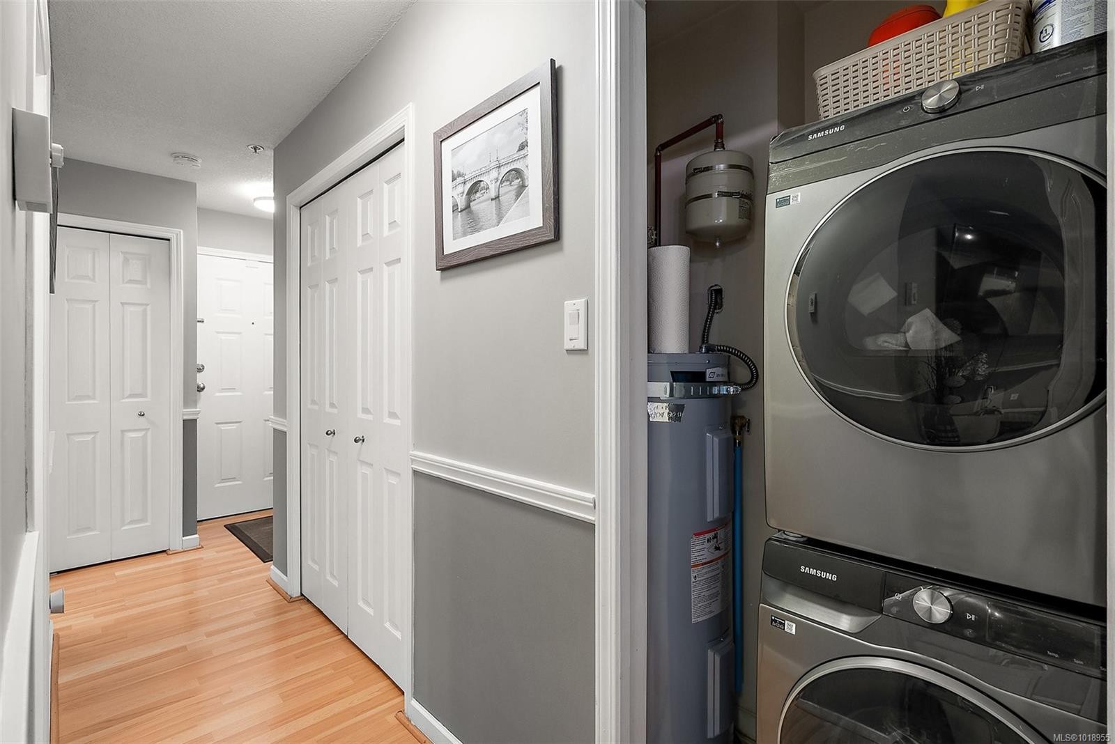 202-7 Gorge Rd West, Saanich, BC - Indoor Photo Showing Laundry Room