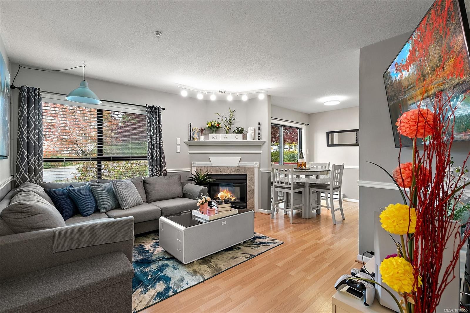 202-7 Gorge Rd West, Saanich, BC - Indoor Photo Showing Living Room With Fireplace