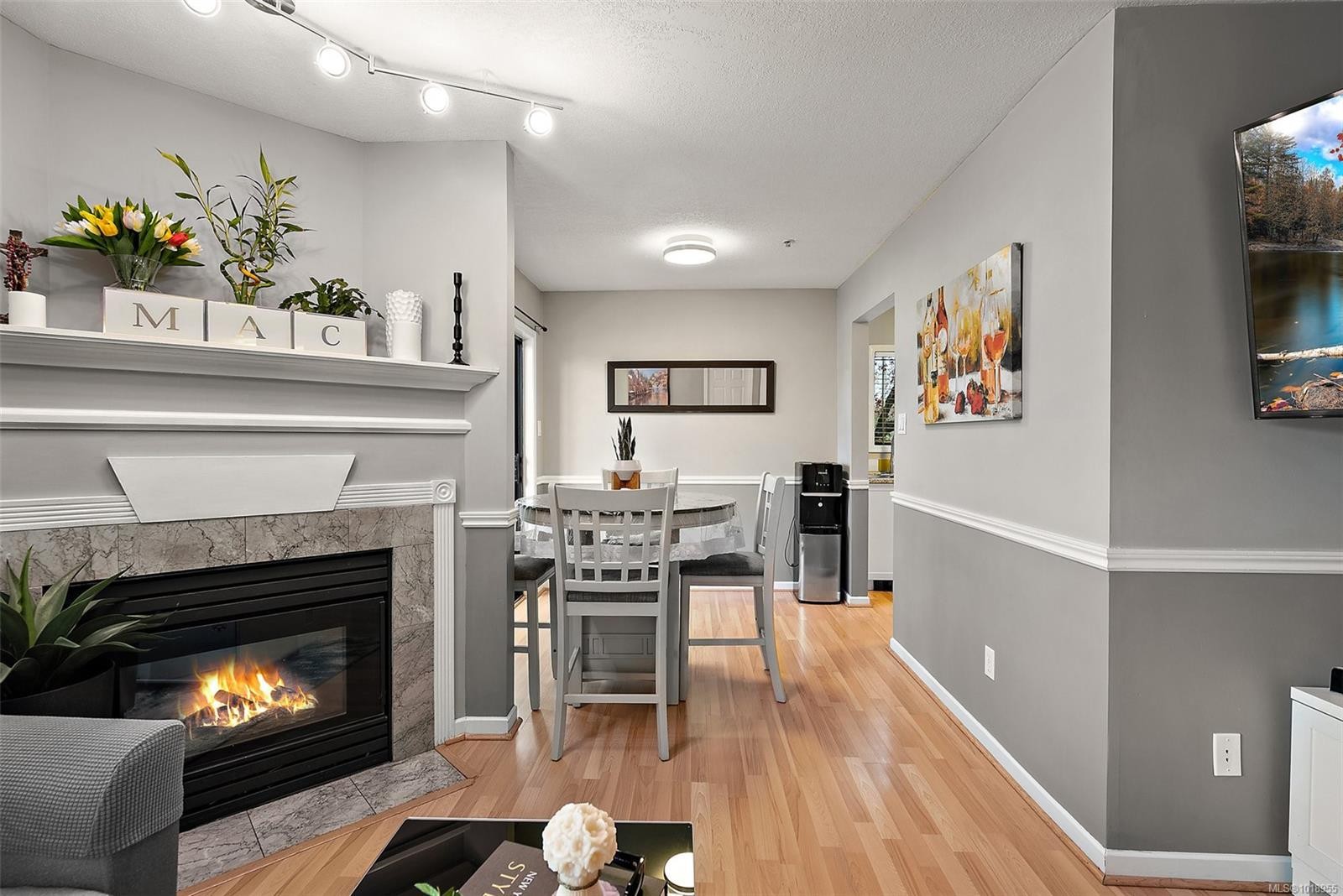 202-7 Gorge Rd West, Saanich, BC - Indoor Photo Showing Living Room With Fireplace