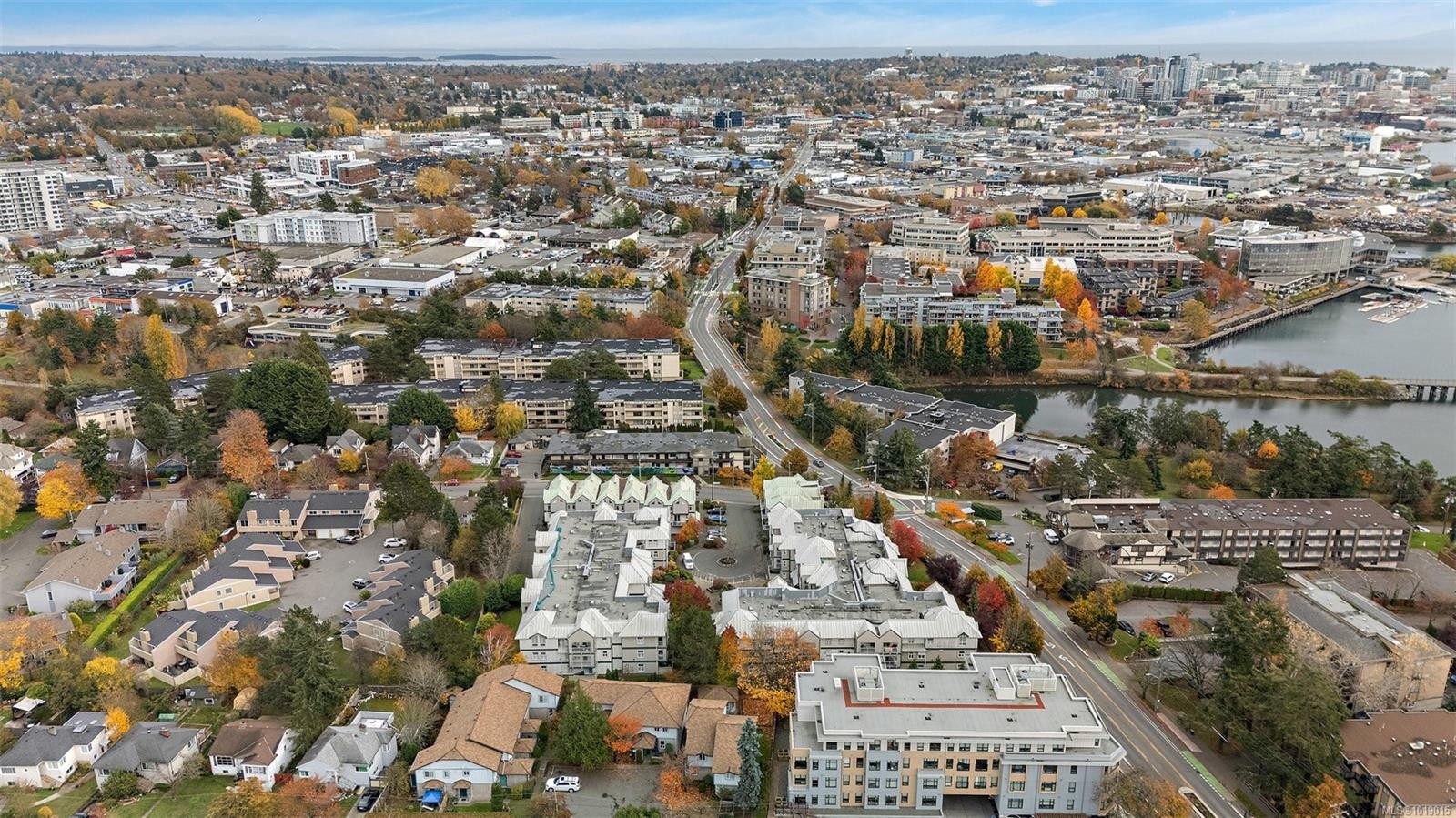 311-3010 Washington Ave, Victoria, BC - Outdoor With View