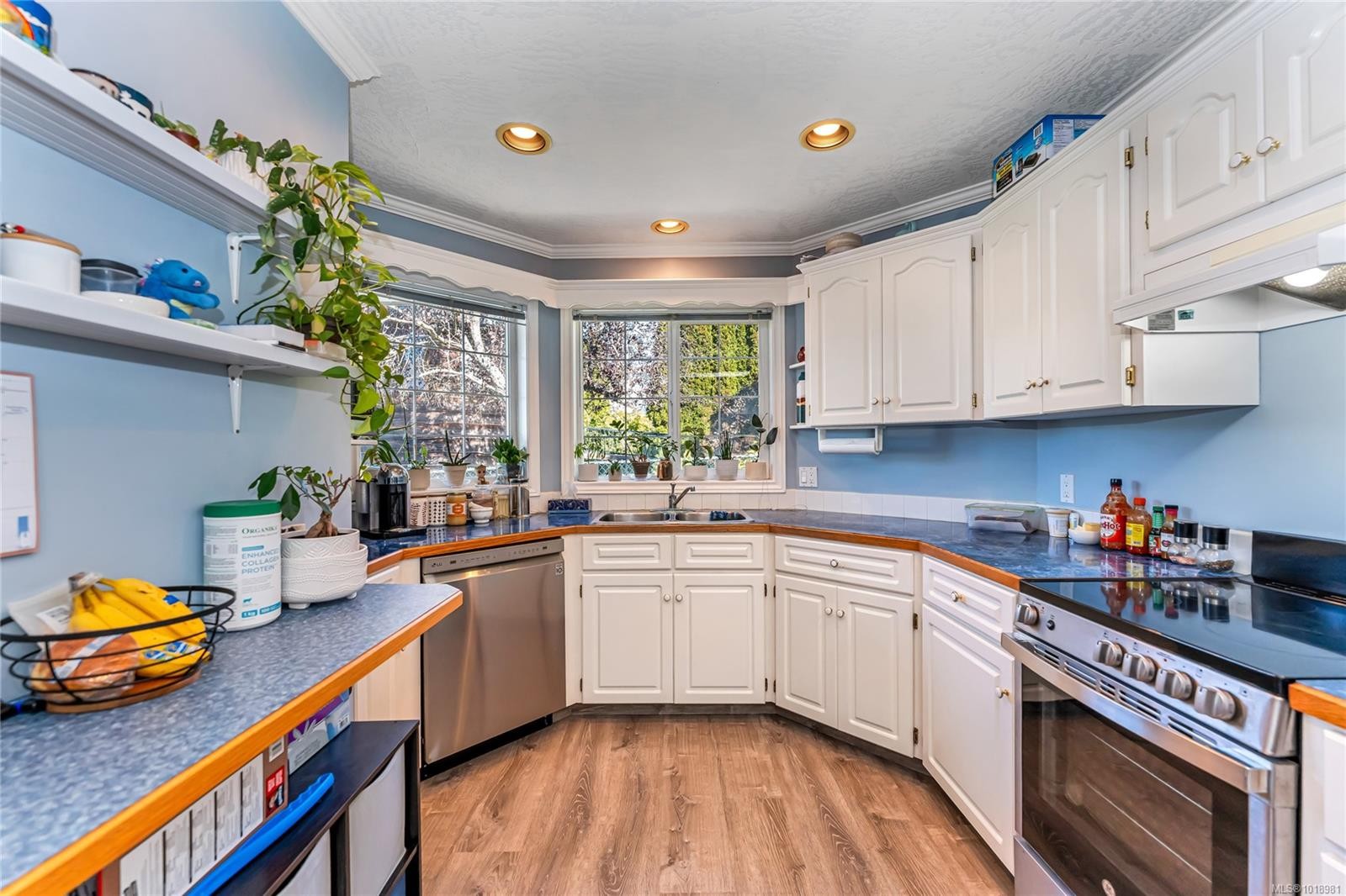 3165 Wascana St, Saanich, BC