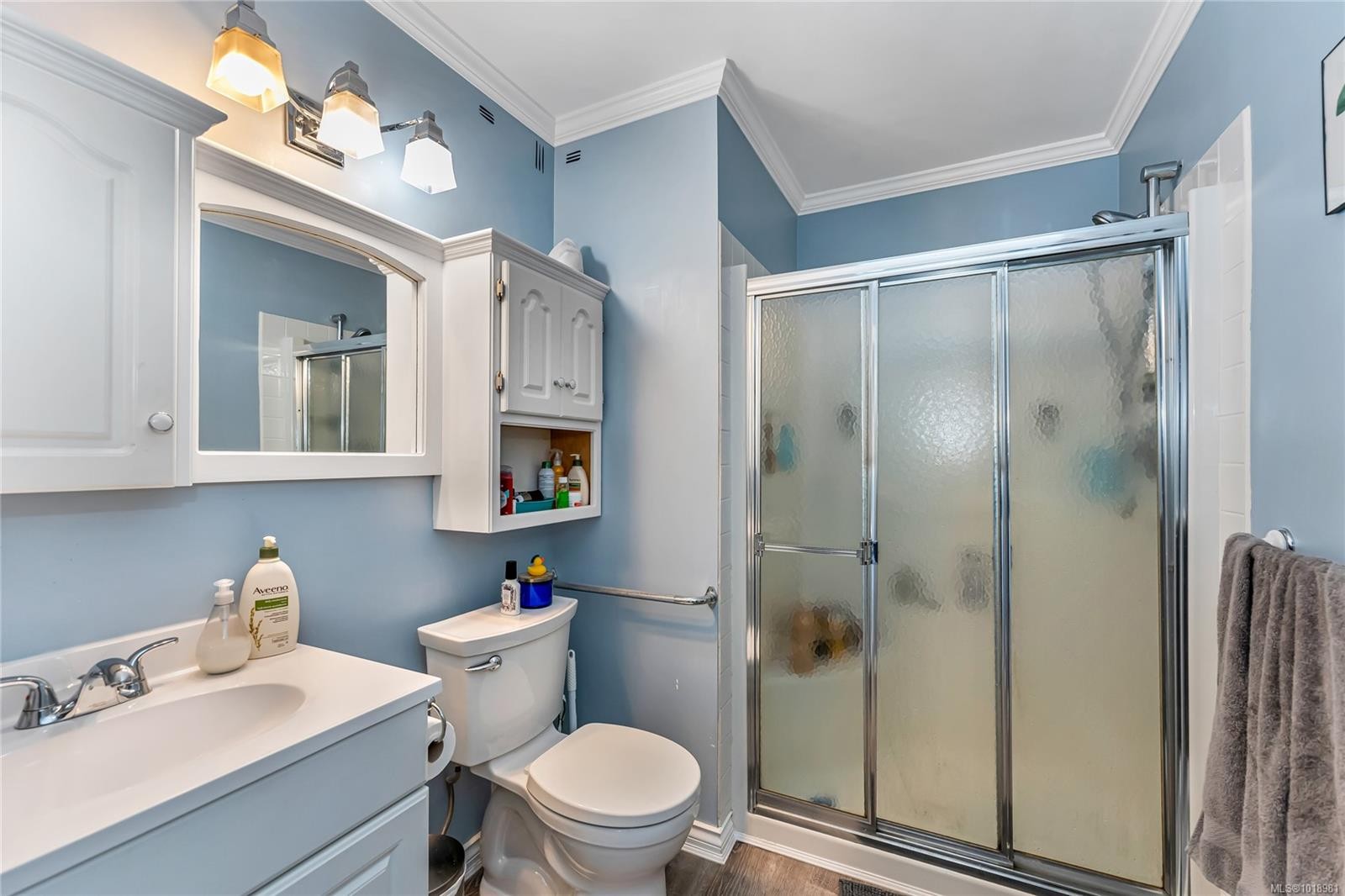 3165 Wascana St, Saanich, BC