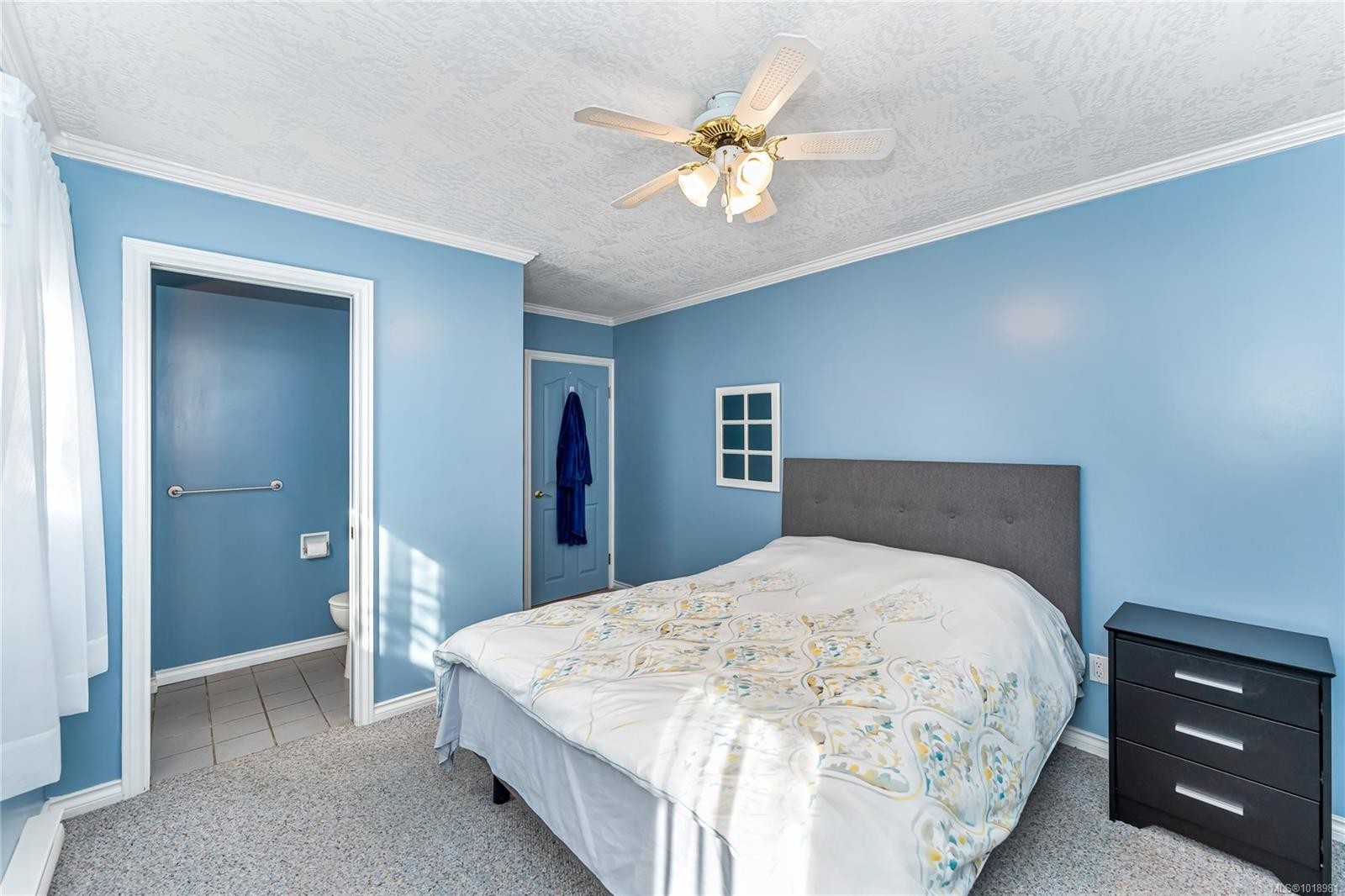 3165 Wascana St, Saanich, BC