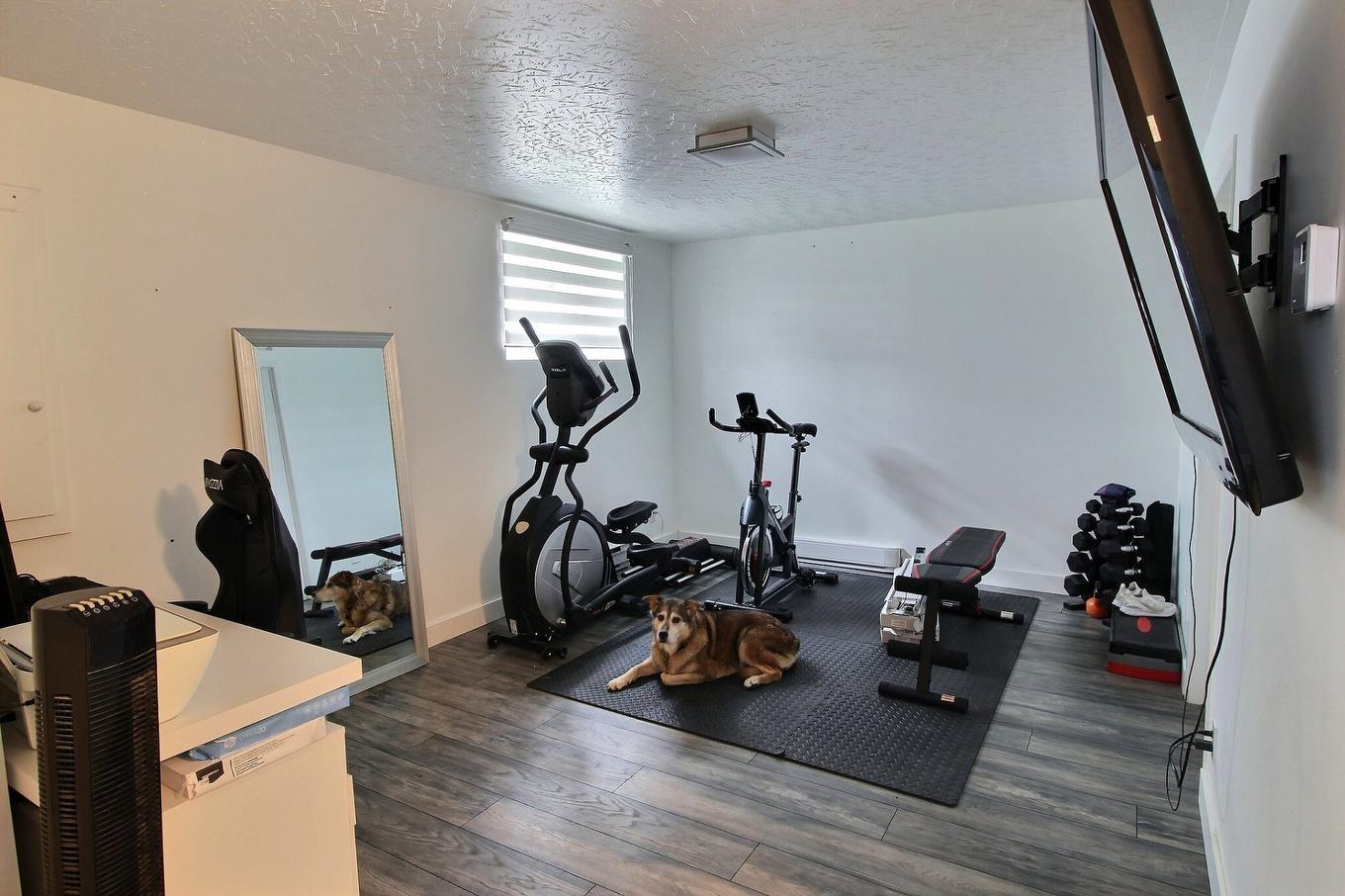 Family room - 13 Rue Desjardins, Rouyn-Noranda, QC - Indoor Photo Showing Gym Room