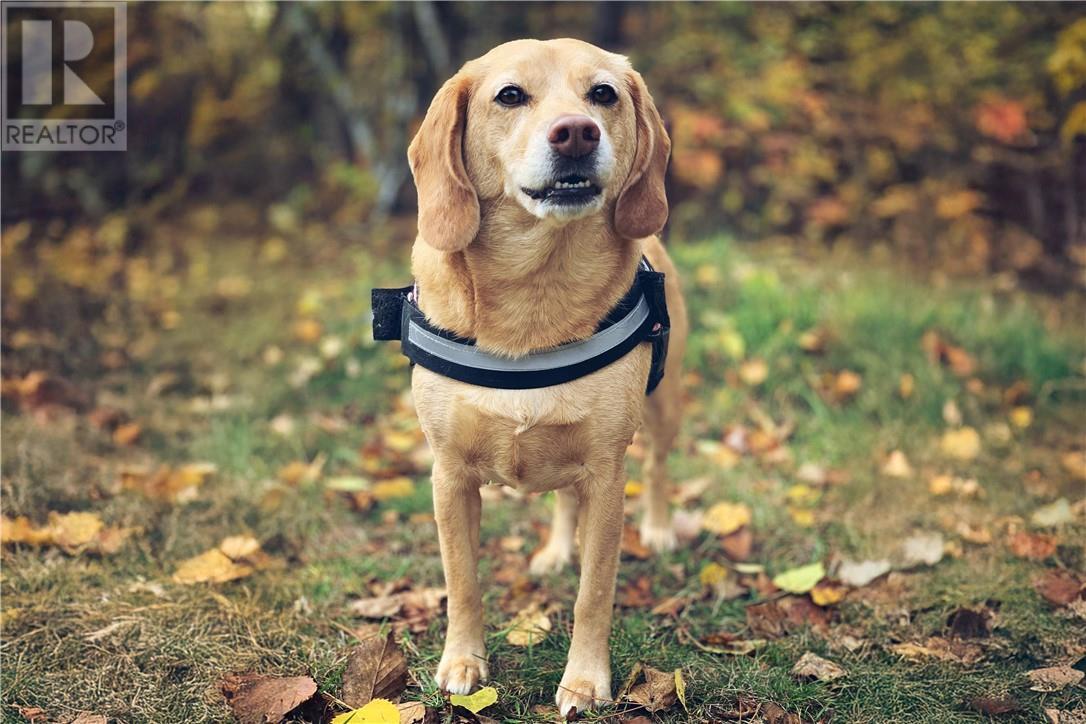 3710 Dill Lake Road Unit# 17, Greater Sudbury, ON