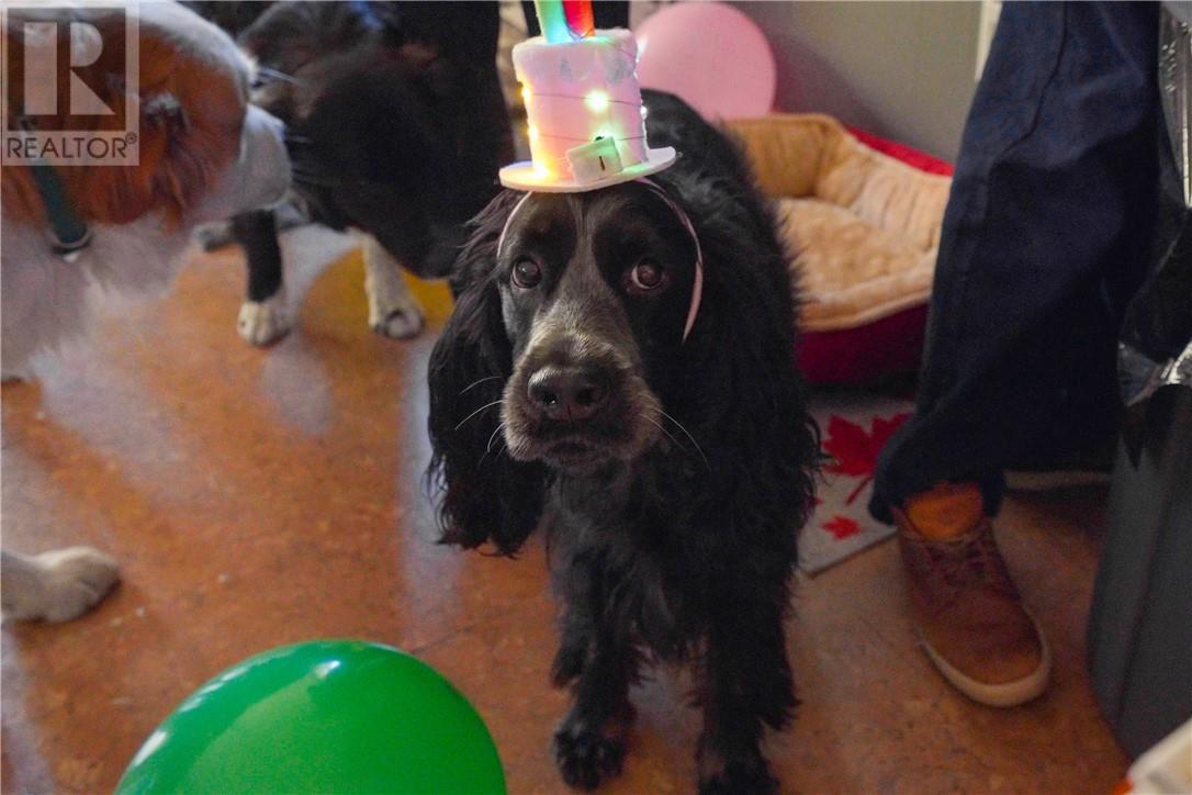 3710 Dill Lake Road Unit# 17, Greater Sudbury, ON