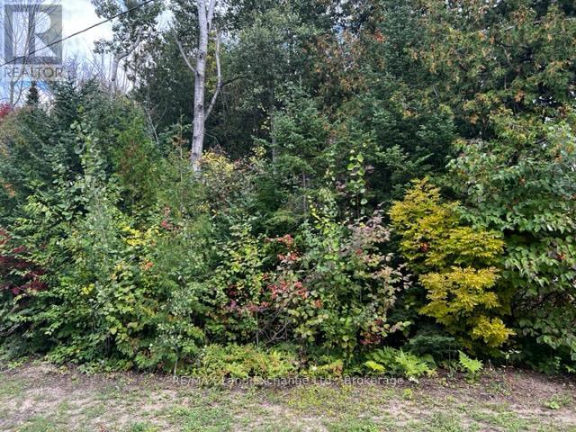 1 Shore Road, Saugeen Shores, ON