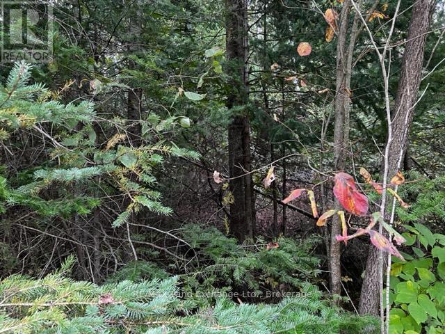 2 Shore Road, Saugeen Shores, ON