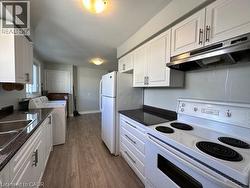 Kitchen featuring white appliances, white cabinetry, under cabinet range hood, and dark wood-style flooring -