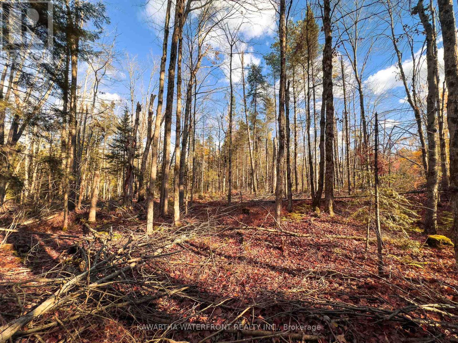 0 Weismuller Lane, Bracebridge (Draper), ON