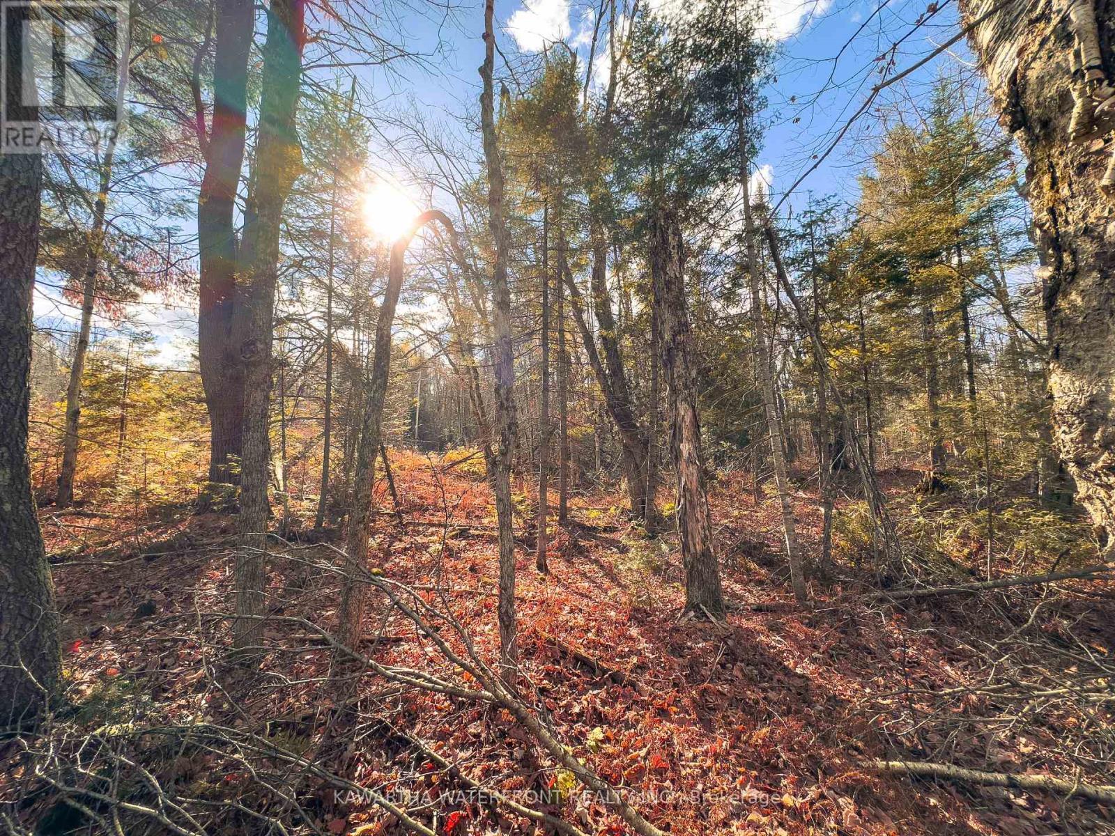 0 Weismuller Lane, Bracebridge (Draper), ON