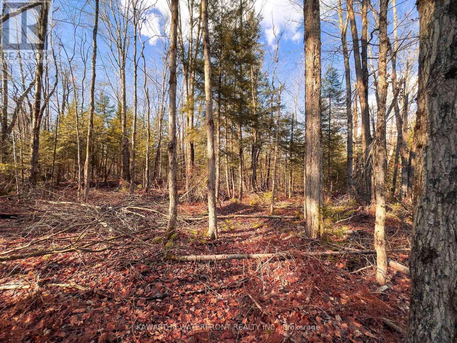 0 Weismuller Lane, Bracebridge (Draper), ON