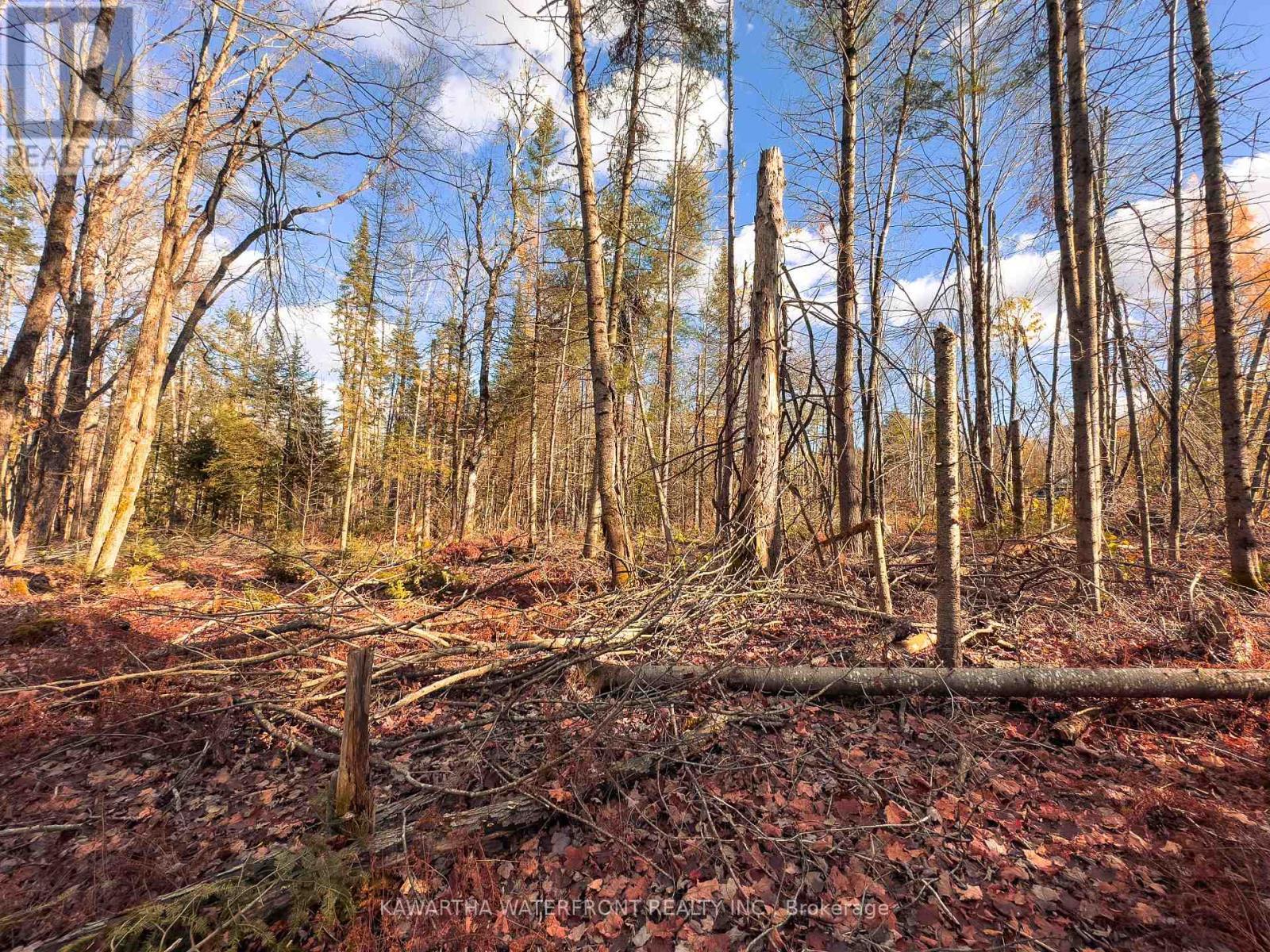 0 Weismuller Lane, Bracebridge (Draper), ON