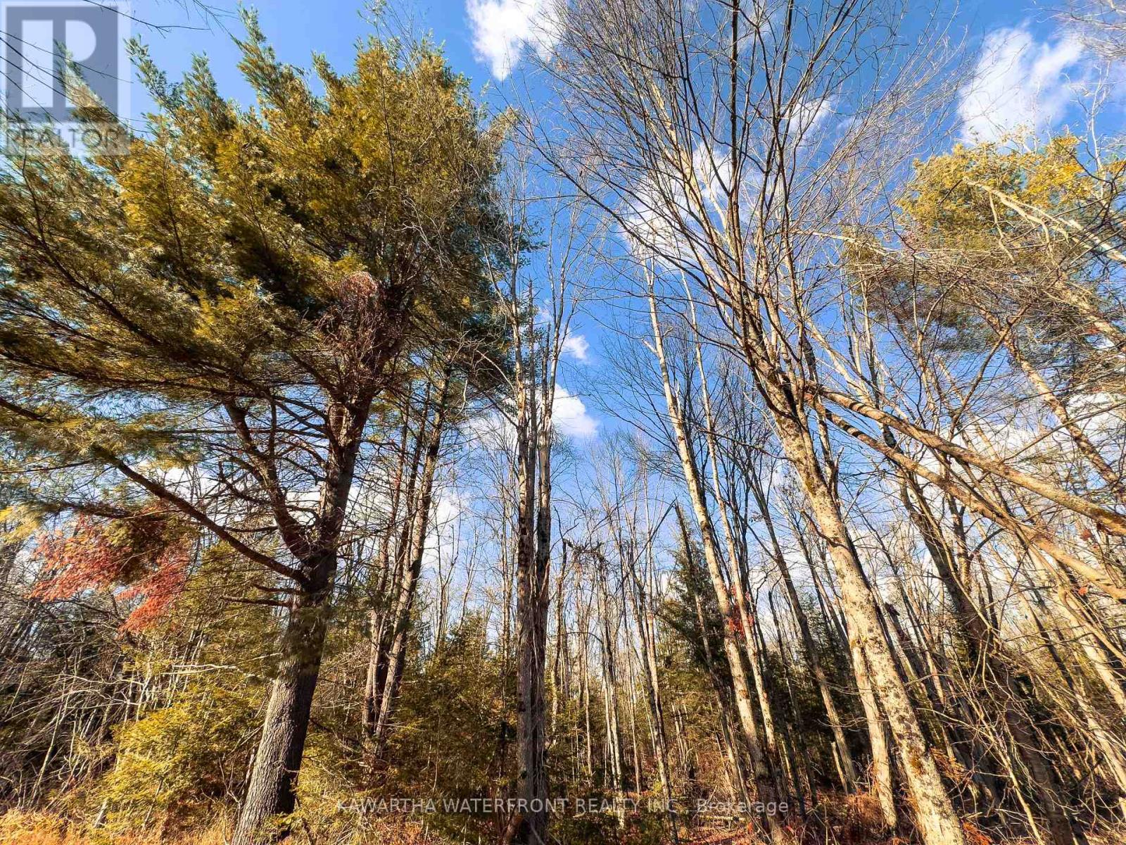 0 Weismuller Lane, Bracebridge (Draper), ON