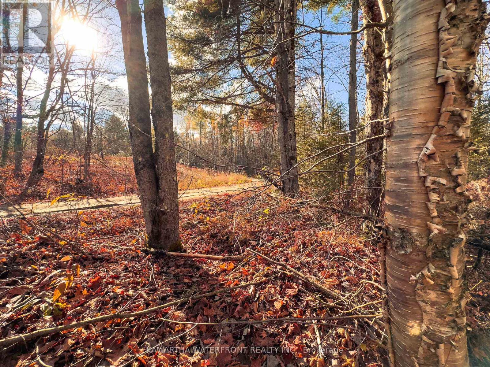 0 Weismuller Lane, Bracebridge (Draper), ON