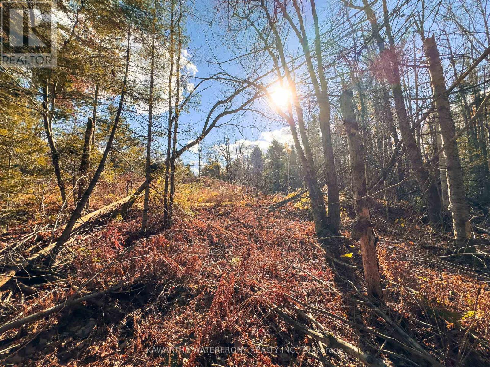 0 Weismuller Lane, Bracebridge (Draper), ON