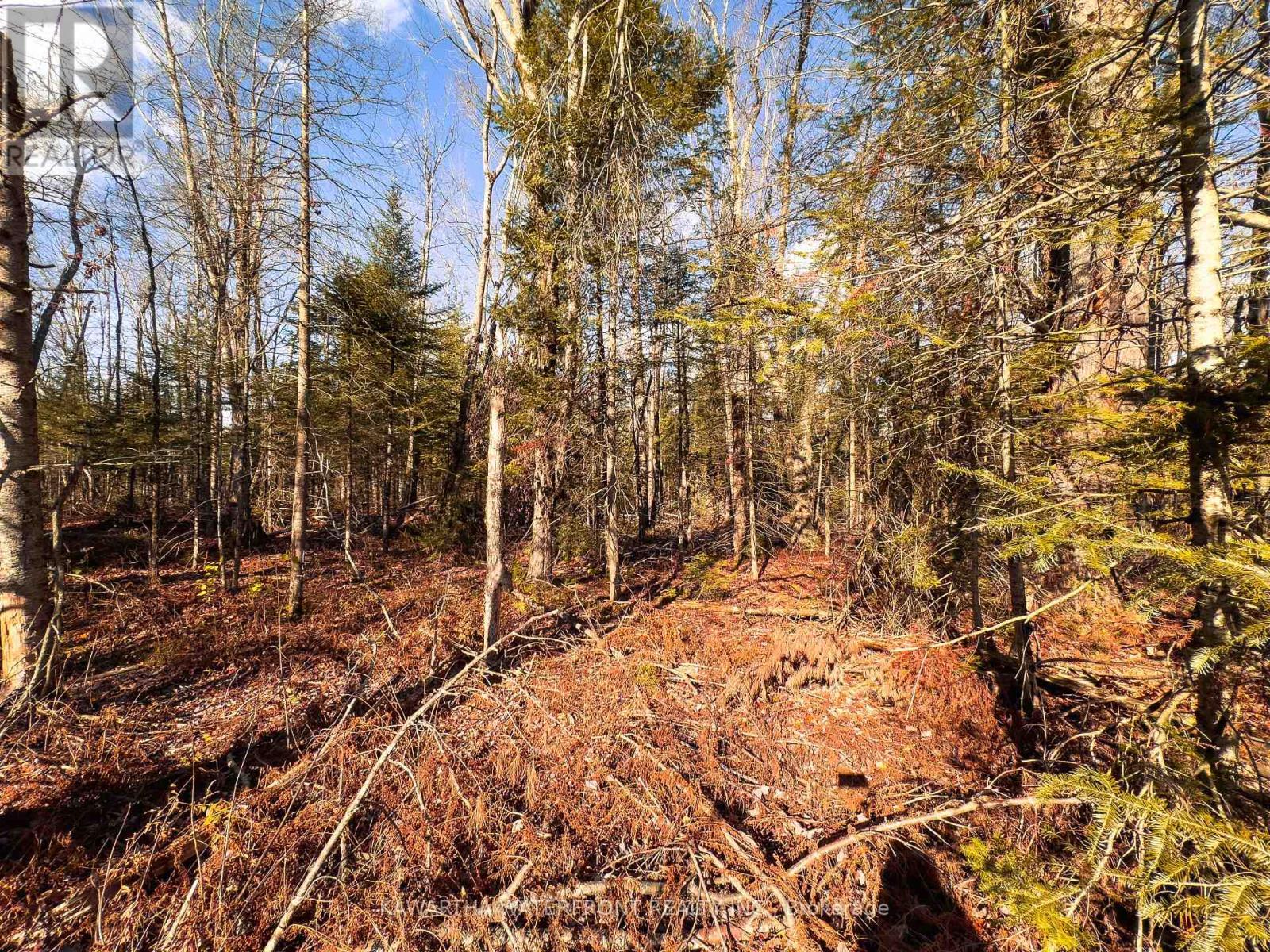 0 Weismuller Lane, Bracebridge (Draper), ON