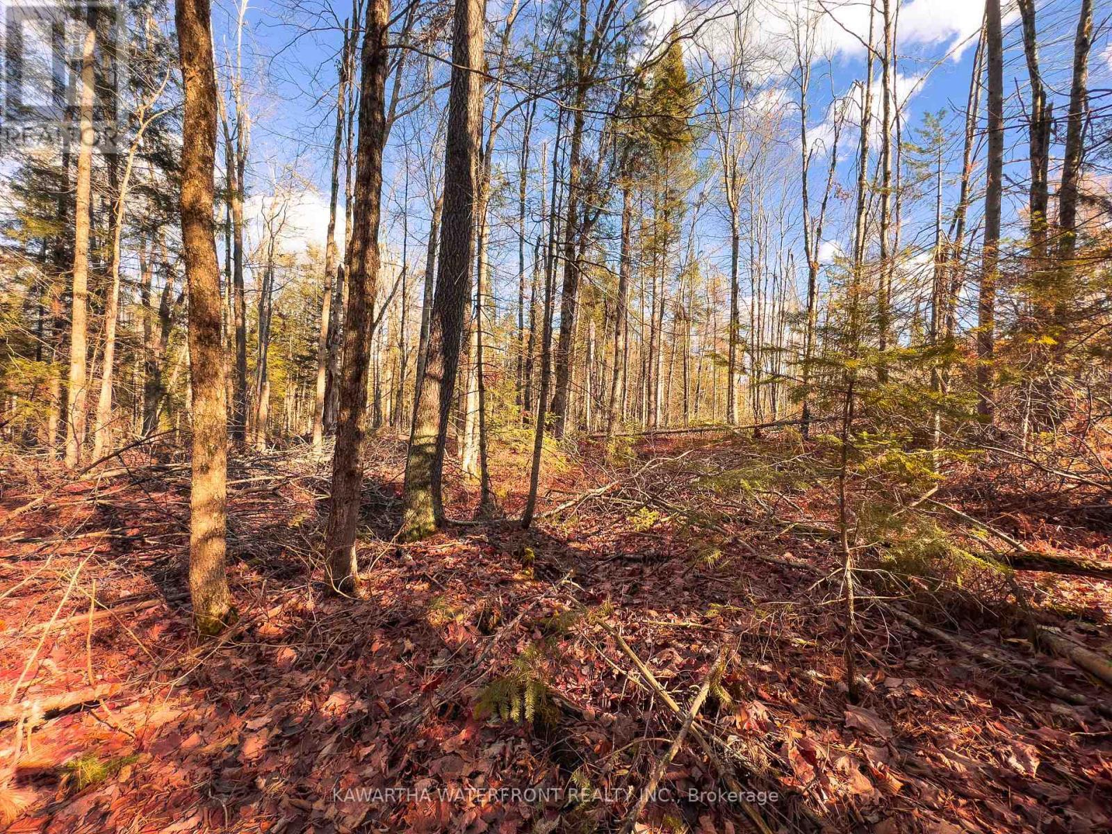 0 Weismuller Lane, Bracebridge (Draper), ON