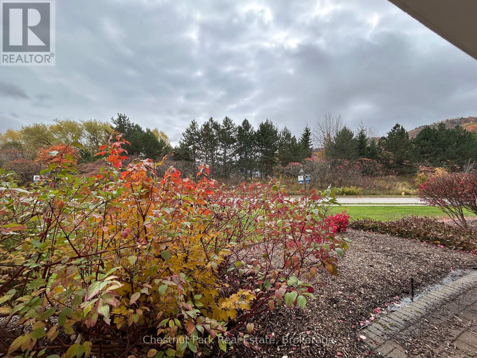 165 - 220 Gord Canning Drive, Blue Mountains, ON - Outdoor With View