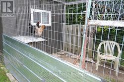 Chicken Coop -