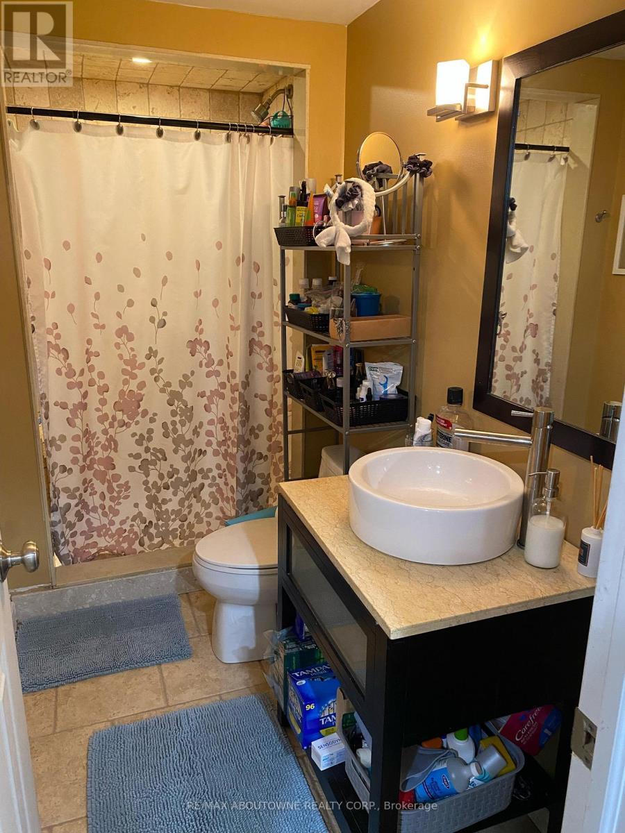 Bsmt - 53 Boulder Crescent, Guelph, ON - Indoor Photo Showing Bathroom