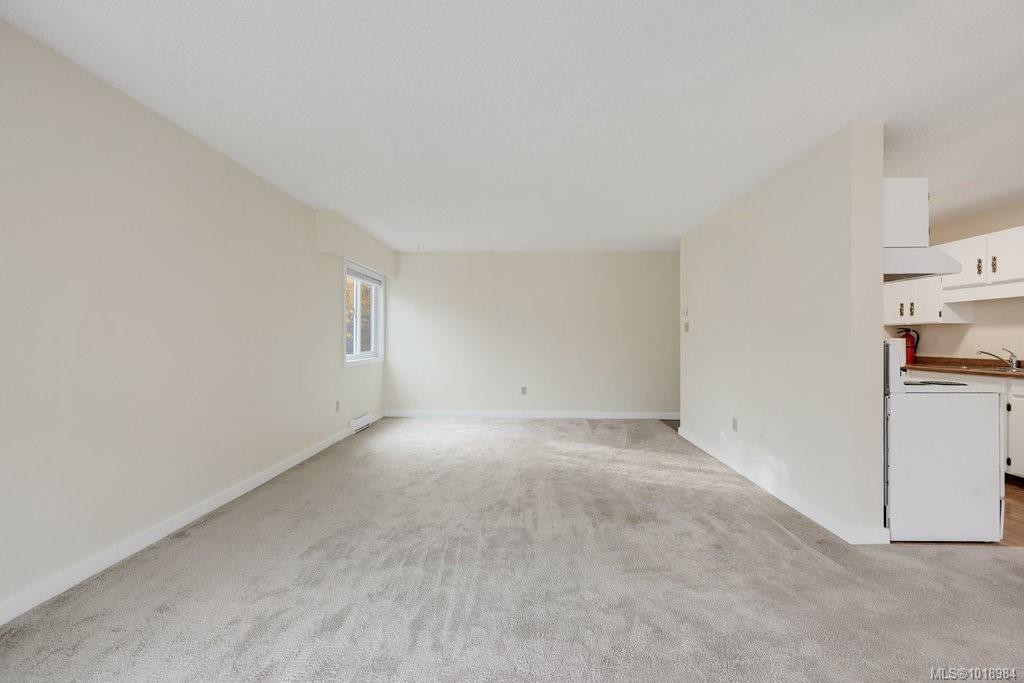 302-1039 Linden Ave, Victoria, BC - Indoor