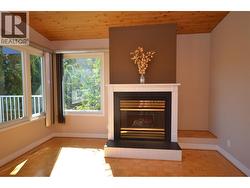 Gas fireplace -