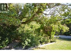 Landscaped for privacy -