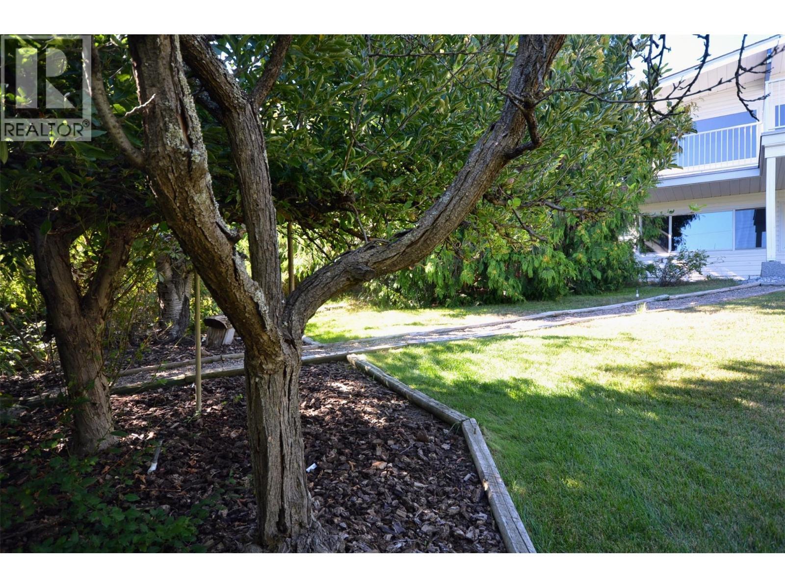 Apple tree - 6609 Southwind Road, Vernon, BC - Outdoor
