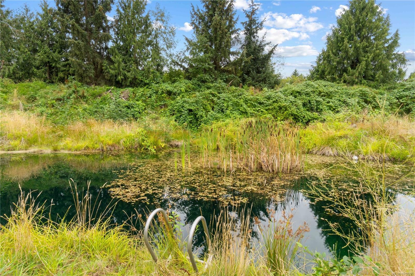 1747 Nahmint Rd, Qualicum Beach, BC