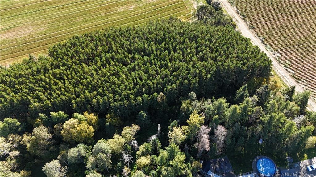 Lot Waddell Rd, Saint-André, NB