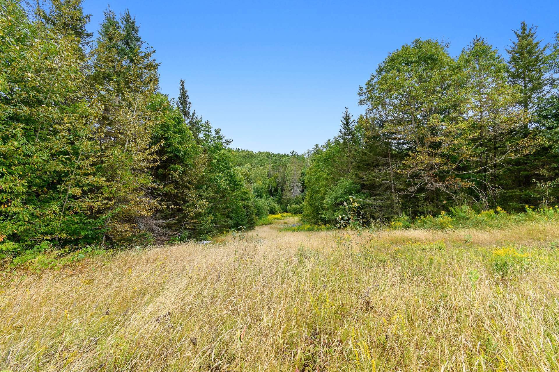 Courtyard - 211 Ch. Stephens, Otter Lake, QC - Outdoor