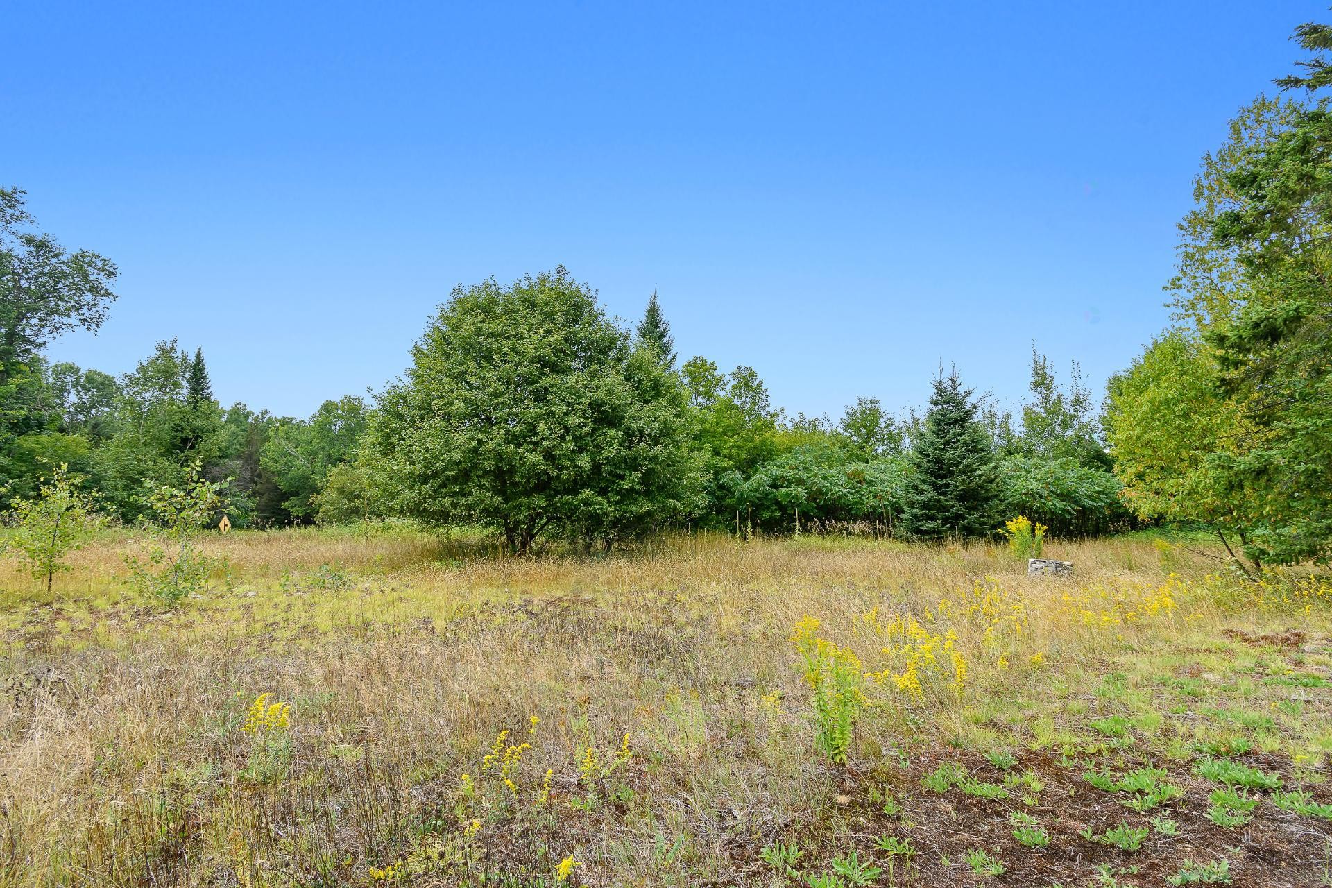 Courtyard - 211 Ch. Stephens, Otter Lake, QC - Outdoor