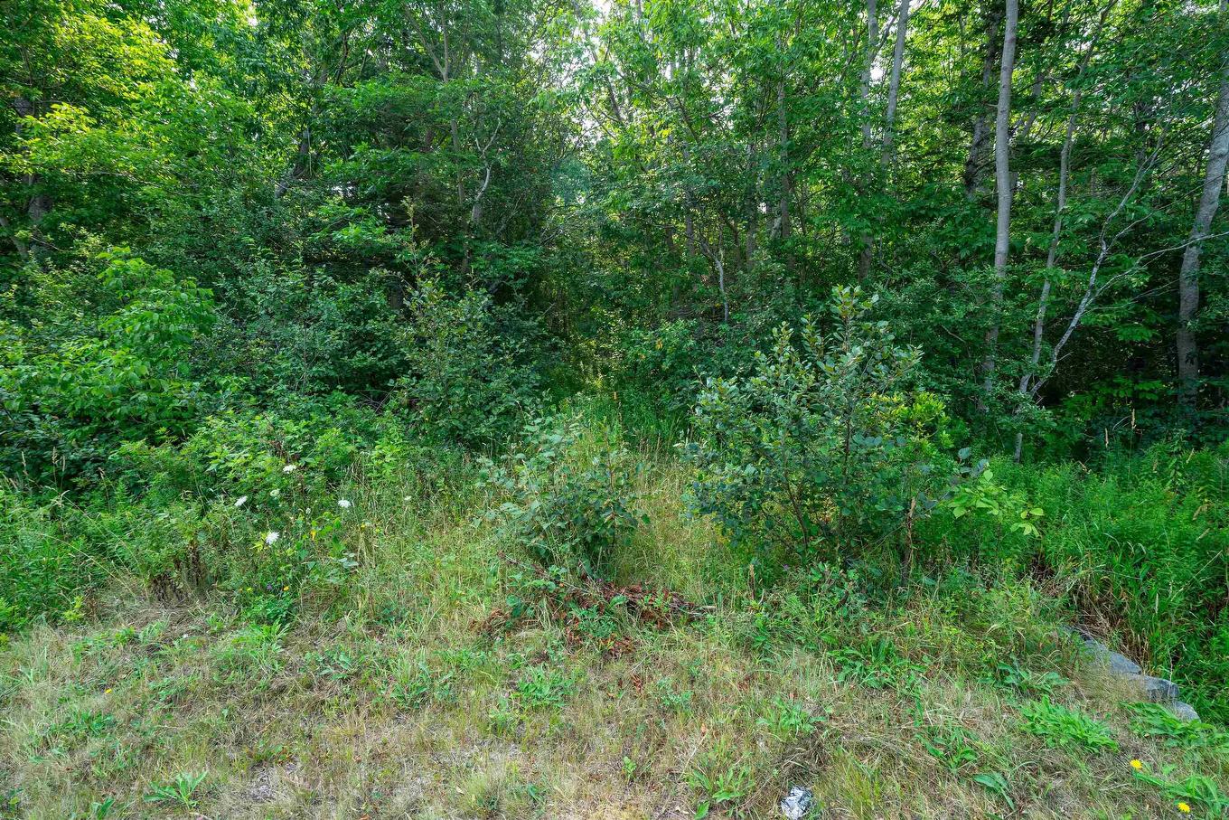 Lot Highway 101, Plympton, NS