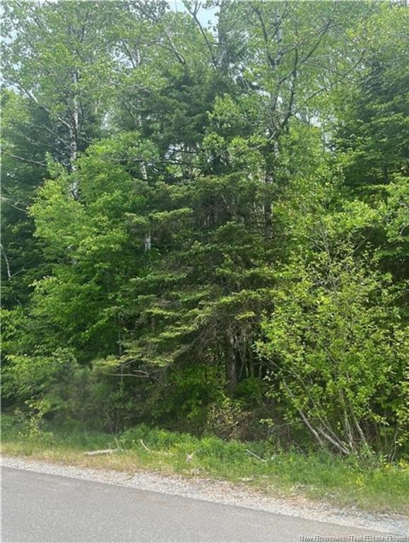 430 Bradley Lake Rd, Quispamsis, NB