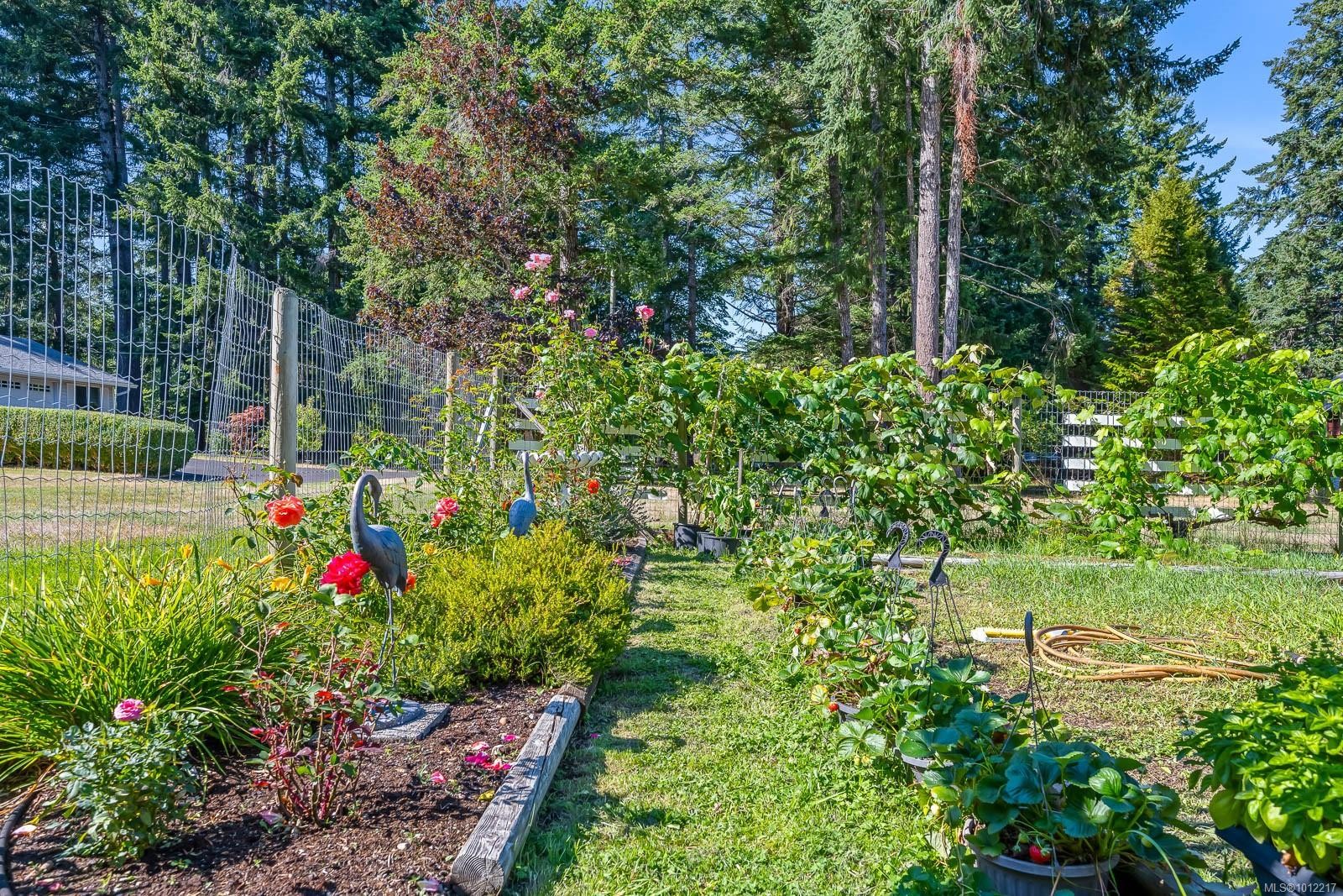 1927 Wilson Rd, Courtenay, BC