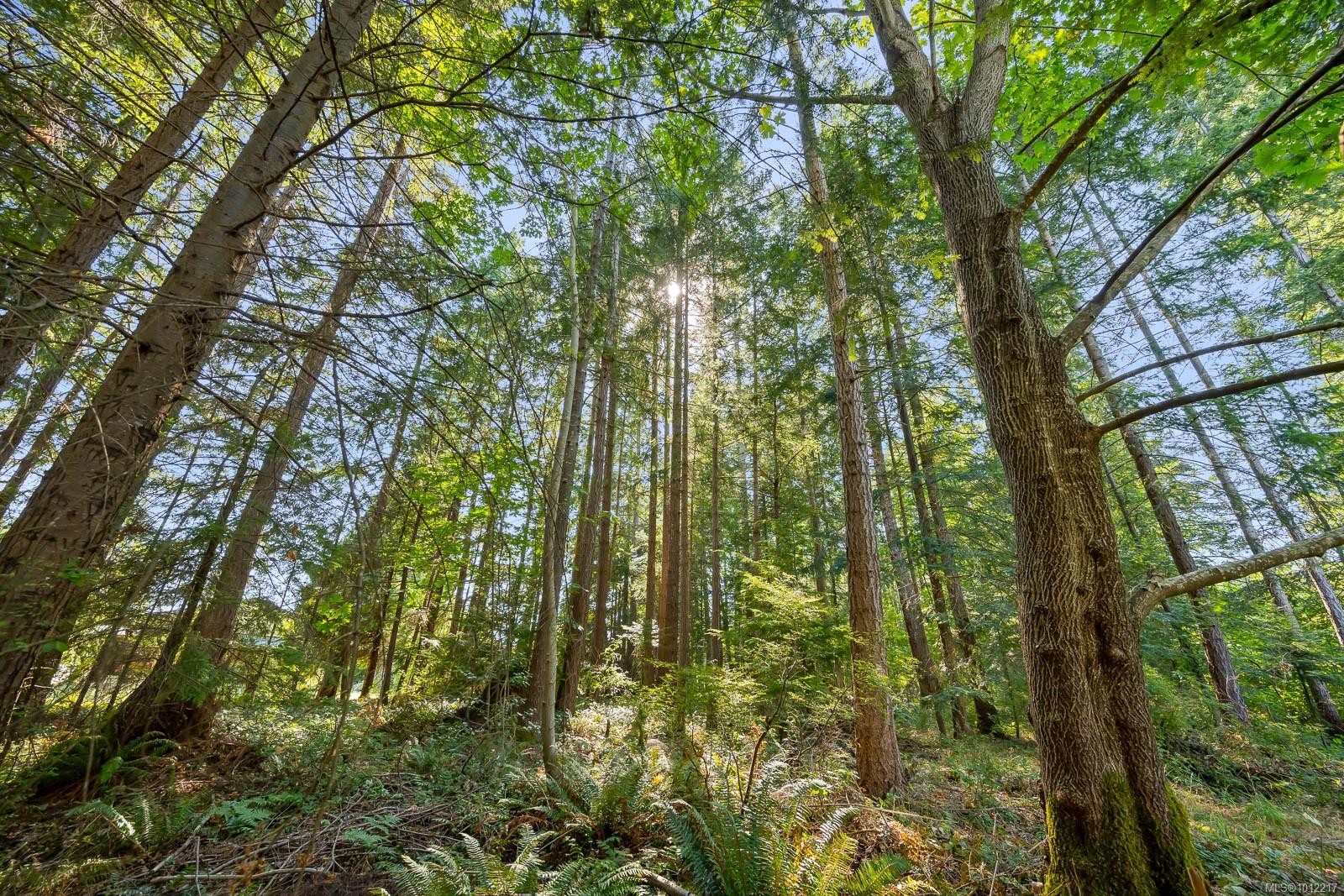 1927 Wilson Rd, Courtenay, BC