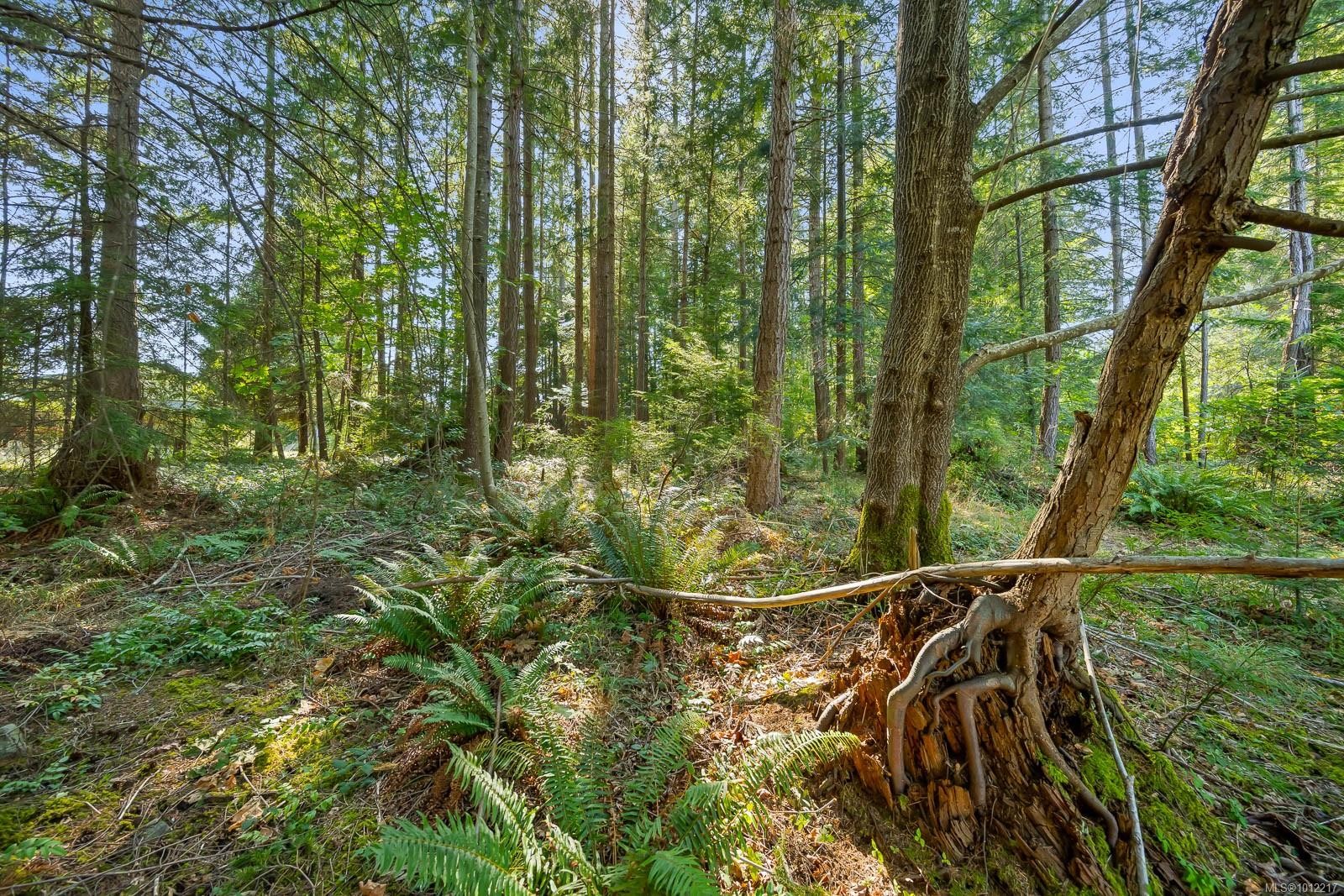 1927 Wilson Rd, Courtenay, BC