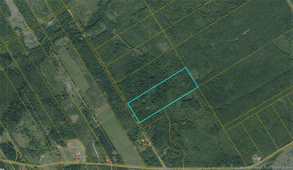 Woodlot Goguen Rd, Sweeneyville, NB