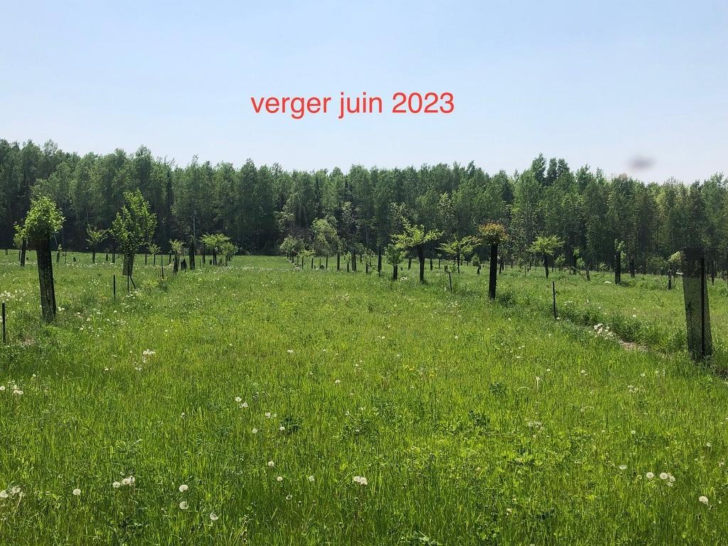 Other - Route 101 N., Saint-Bruno-De-Guigues, QC