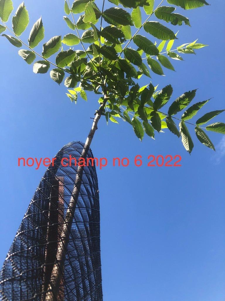 Other - Route 101 N., Saint-Bruno-De-Guigues, QC