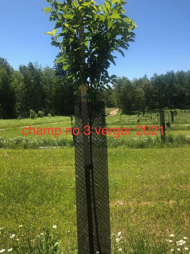 Other - Route 101 N., Saint-Bruno-De-Guigues, QC