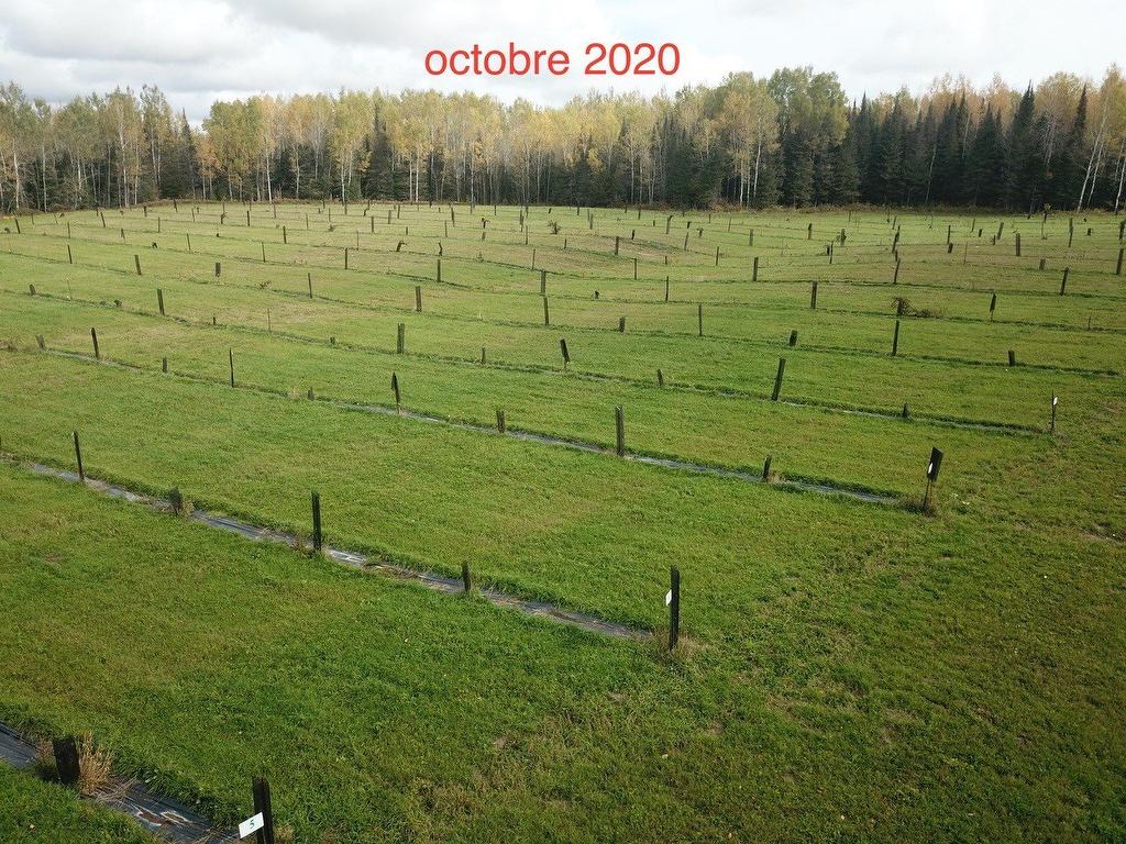 Other - Route 101 N., Saint-Bruno-De-Guigues, QC