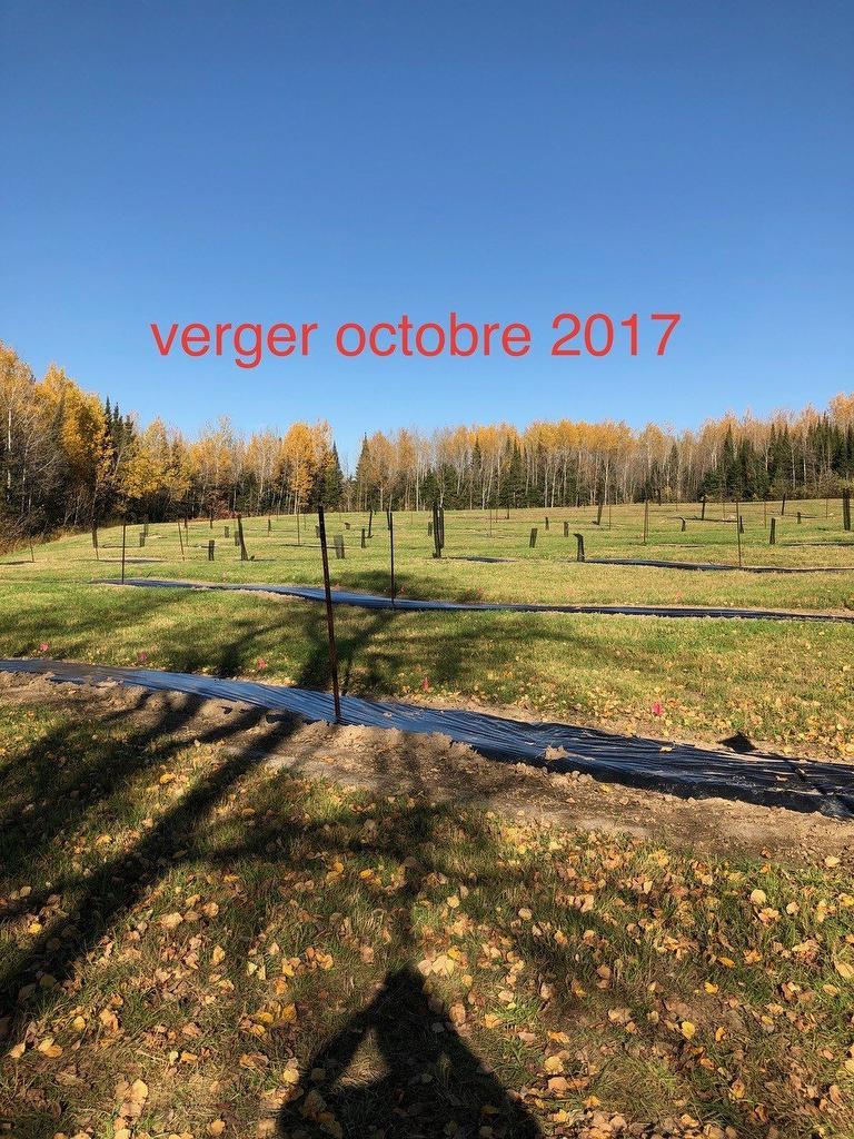 Other - Route 101 N., Saint-Bruno-De-Guigues, QC